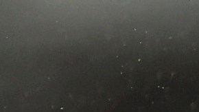 Aaron Boone sostuvo que nadie en las Grandes Ligas iguala las capacidades de Aaron judge.