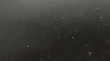 Aaron Boone sostuvo que nadie en las Grandes Ligas iguala las capacidades de Aaron judge.