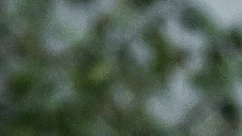 El presidente de Ucrania, Volodymyr Zelenskyy, y el primer ministro de Polonia, Mateusz Morawiecki