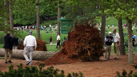 Árbol caído en pleno campo de golf.