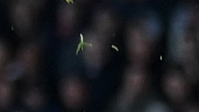 Erling Haaland llegó a 30 goles en la temporada de Premier League.