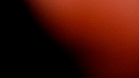 Trump mantuvo que es inocente de los cargos que le imputan y alegó que no hay ningún caso en su contra.