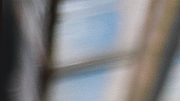 El estratega ya alcanzó su primer triunfo con Pumas y se perfila como el nuevo cambio de la institución.