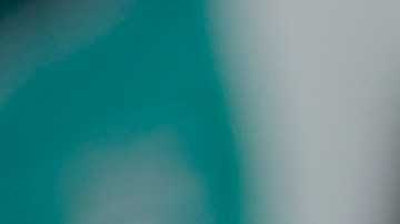 El estratega fue destituido tras la derrota ante los Gallos de Querétaro.