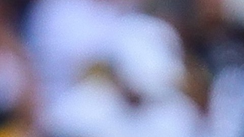 El estratega se mostró enfocado en alcanzar el repechaje del torneo Clausura 2023 de la Liga MX.