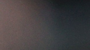 Las afirmaciones de Adams se realizaron antes de una serie de reuniones privadas con funcionarios de la Casa Blanca.