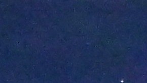 Tampa Bay Rays celebra luego de dejar en el terreno a Chicago White Sox.