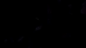 Josh Hart (R), Jalen Brunson (C) y Obi Toppin (L) celebran el triunfo de New York Knicks ante Cleveland Cavaliers.