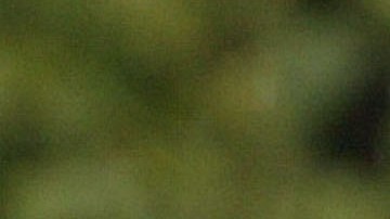 Police Investigate A Possible Sniper Shooting In Virginia