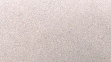 En 1993, AFT lideró acció contra secta religiosa en Waco, Texas.