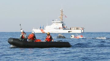 Attempt To Free An Entangled Northern Right Whale