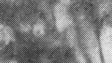 Josef Schütz negó los cargos en su contra durante el juicio.