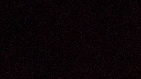 El aparente accidente se registró en el crucero Quantum of the Seas.