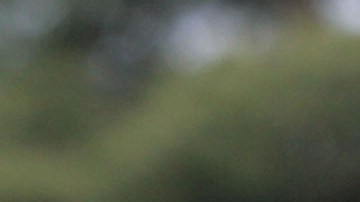 El sheriff indicó que había víctimas disparadas encima de varios niños, suponiendo que los estaban protegiendo de las balas.