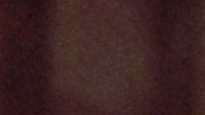 La banda estaba conformada por Ringo Starr, John Lennon, Paul McCartney y George Harrison.