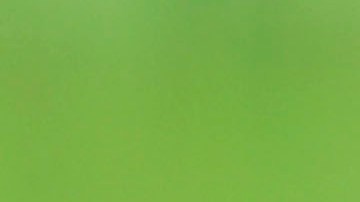 Hipopótamo de Pablo Escobar en la Hacienda Nápoles en Colombia.