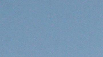 Pro-choice demonstrators wave signs in f