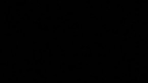 Autoridades migratorias incrementan vigilancia en la frontera con Canadá.