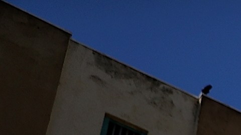 Cárcel de San Quentin