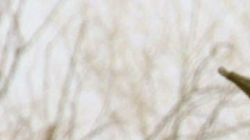 Former Northern Alliance Soldiers