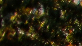 Nadie resultó herido durante el accidente automovilístico, según la policía de Nueva York.