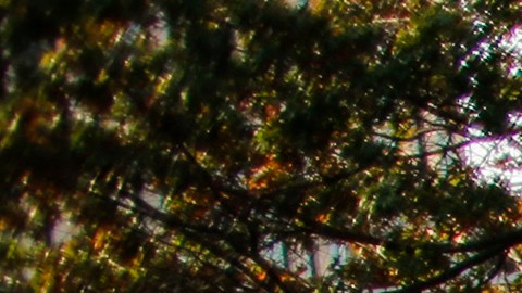 Nadie resultó herido durante el accidente automovilístico, según la policía de Nueva York.