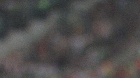 Messi junto a Thierry Henry. / Foto: Getty Images