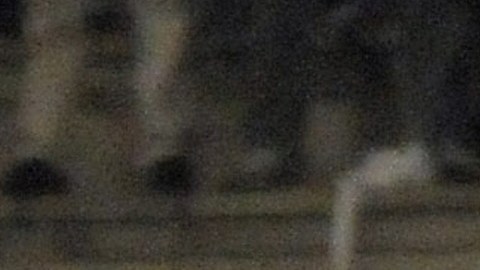 Los jugadores del Once Caldas fueron atacados.