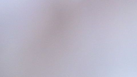 Javier Hernández sueña con volver a la selección.