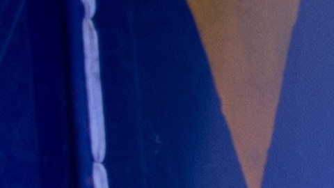Sun Moumou murió al caer de una altura de 30 pies durante un espectáculo.