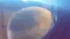 Un GoFundMe para Michelle Edoo ha recaudado casi $9,000 de dólares.