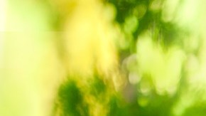 Hombre comiendo fruta
