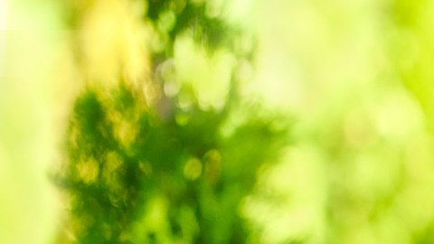 Hombre comiendo fruta