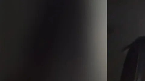 Sorense grabó y divulgó en redes sociales un video viral sobre el presunto incidente una semana después aproximadamente.