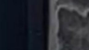 Abbi Schaeffer fue reportada como desaparecida hace casi un año.