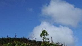 Operativo antidrogas del FBI en el oeste de Puerto Rico