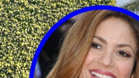 Shakira está comenzando una nueva vida en Miami.