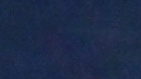 Wander Franco (I), Randy Arozarena (M) y Manuel Margot (D) celebran el triunfo #13 de los Rays