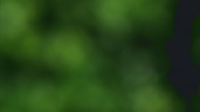 Vehículos eléctricos