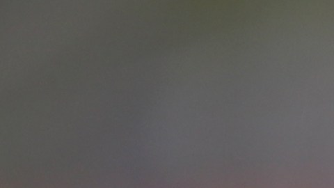 Valentín 'Taty' Castellanos le marcó cuatro goles al Real Madrid.