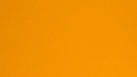 abuela-nietos-disney-loteria-nueva-jersey