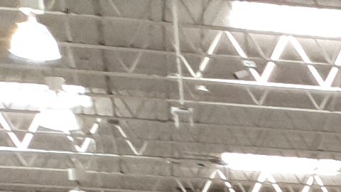 costco-mejores-peores-dias-para-compras