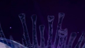 Arcturus parece tener una ventaja de crecimiento sobre las variantes anteriores.