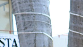 Como migrantes pidieron a las autoridades mexicanas que sean más humanas y más consientes con las personas en movilidad.