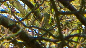 fraude-casa-propiedad