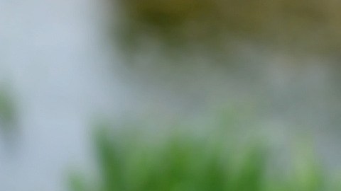 La niña hizo todas las compras en 15 minutos con el teléfono de su madre.