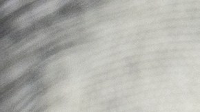 loteria-carolina-del-norte