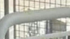 Asesinato Gioser Luis Féliz