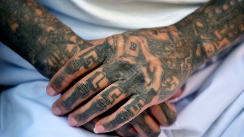 Seis presuntos pandilleros de la MS-13 fueron deportados de EE.UU. y serán juzgados en El Salvador