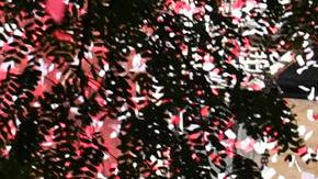 La estatua en honor a Marcelo Gallardo es develada en los alrededores del Monumetal.